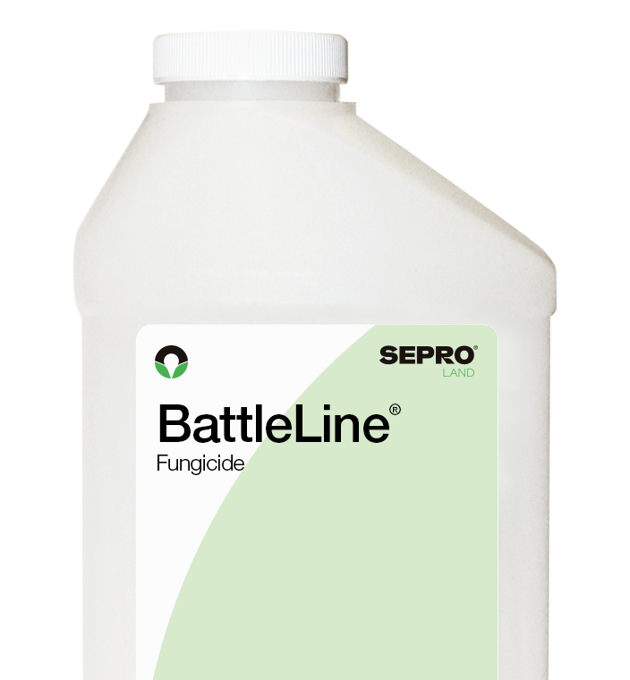 BattleLine